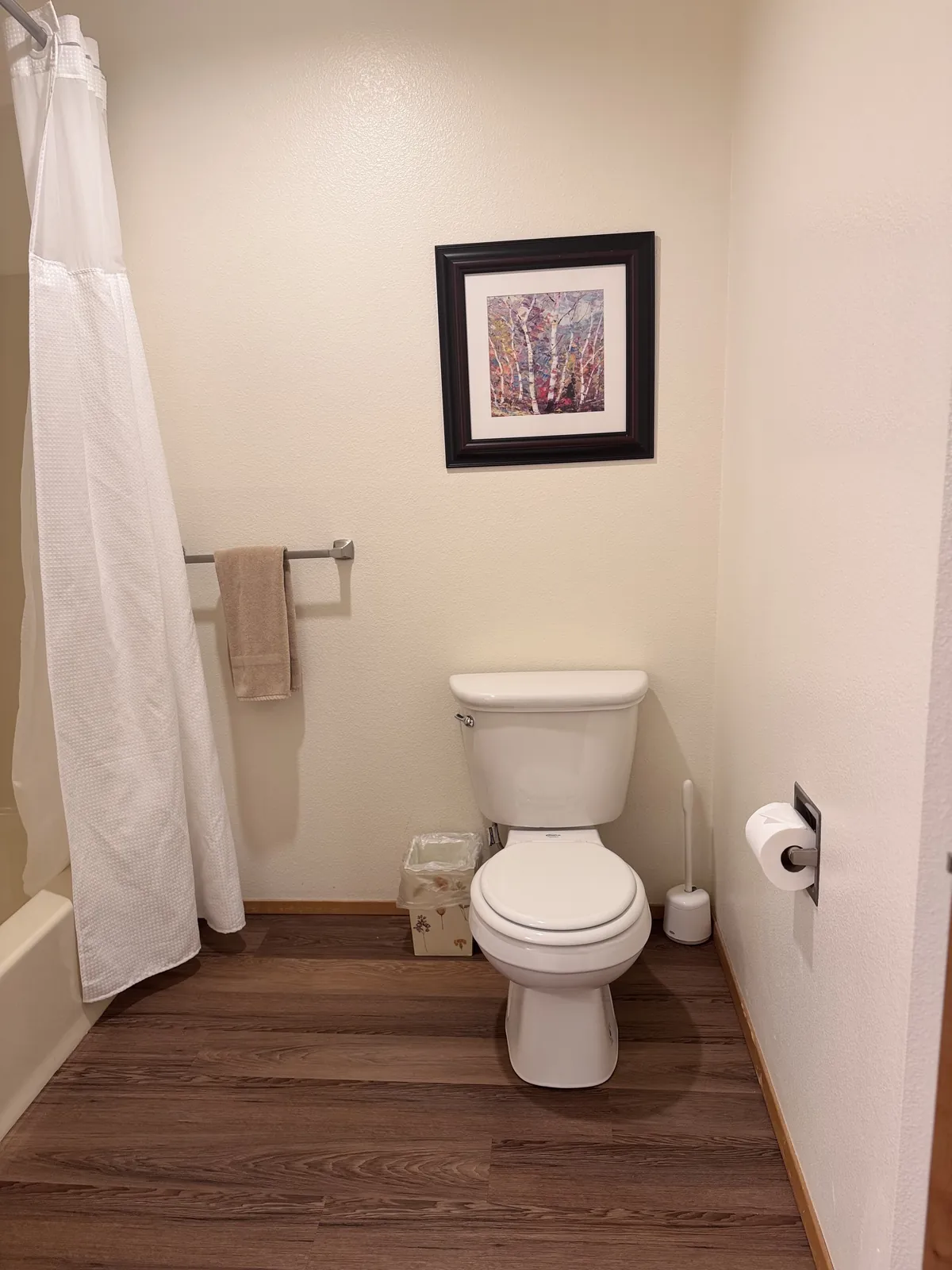 Bathroom with a toilet, shower curtain and wooden floor