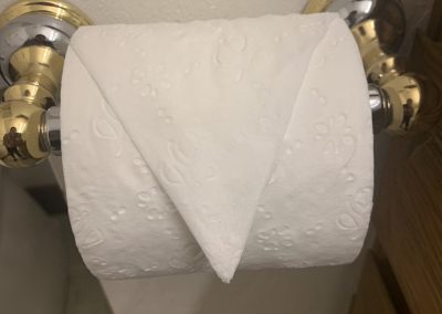 Trusted Cleaning Service